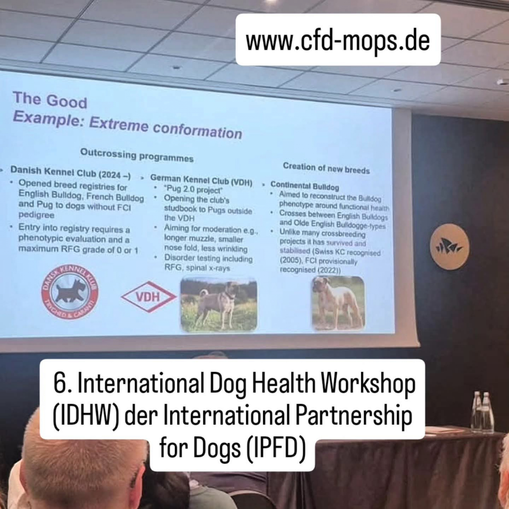 IPDF-cfdm